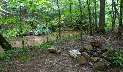 Photo #19 of SOLD property in Off Nicole Dr, Martinsville, VA 35.1 acres
