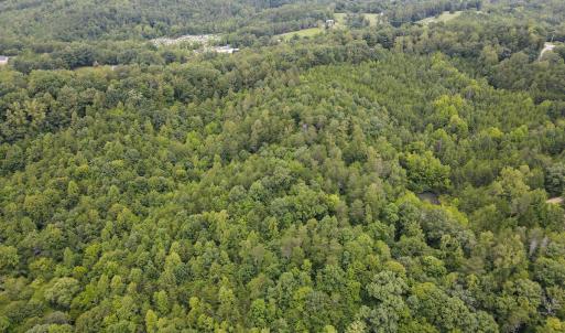 Photo #2 of SOLD property in Off Nicole Dr, Martinsville, VA 35.1 acres
