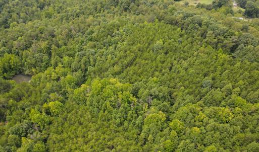 Photo #3 of SOLD property in Off Nicole Dr, Martinsville, VA 35.1 acres