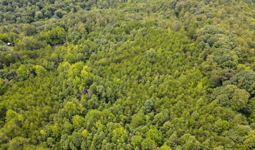 Photo #4 of SOLD property in Off Nicole Dr, Martinsville, VA 35.1 acres