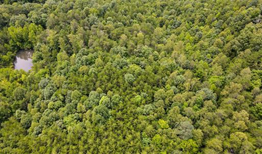Photo #5 of SOLD property in Off Nicole Dr, Martinsville, VA 35.1 acres