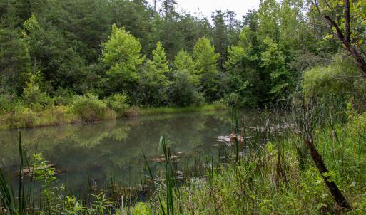 Photo #6 of SOLD property in Off Nicole Dr, Martinsville, VA 35.1 acres