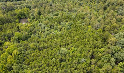 Photo #7 of SOLD property in Off Nicole Dr, Martinsville, VA 35.1 acres