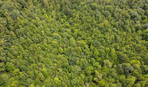 Photo #8 of SOLD property in Off Nicole Dr, Martinsville, VA 35.1 acres