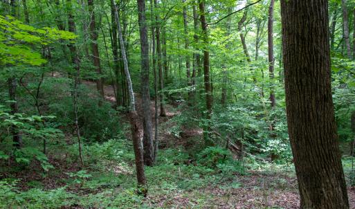Photo #23 of SOLD property in Off Nicole Dr, Martinsville, VA 35.1 acres
