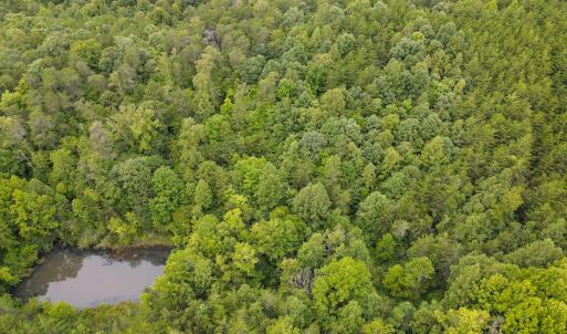 Photo #24 of SOLD property in Off Nicole Dr, Martinsville, VA 35.1 acres