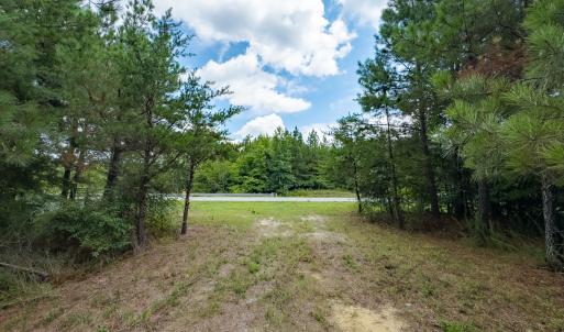 Photo #5 of Off NC Highway 86 North, Providence, NC 13.8 acres