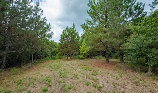 Photo #12 of Off NC Highway 86 North, Providence, NC 13.8 acres