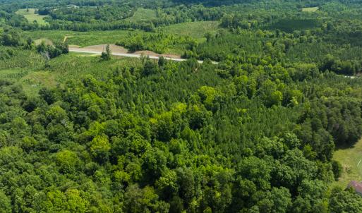 Photo #14 of Off NC Highway 86 North, Providence, NC 13.8 acres