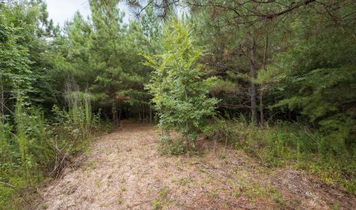 Photo #27 of Off NC Highway 86 North, Providence, NC 13.8 acres