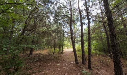 Photo #31 of Off NC Highway 86 North, Providence, NC 13.8 acres