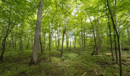 Photo #36 of Off NC Highway 86 North, Providence, NC 13.8 acres