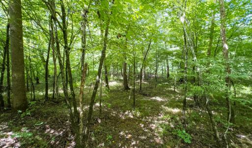 Photo #42 of Off NC Highway 86 North, Providence, NC 13.8 acres
