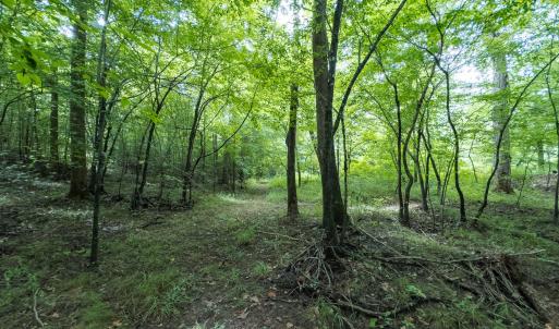 Photo #46 of Off NC Highway 86 North, Providence, NC 13.8 acres