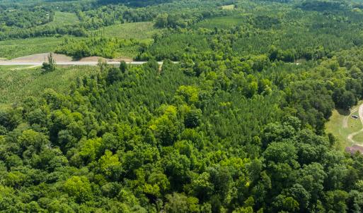 Photo #47 of Off NC Highway 86 North, Providence, NC 13.8 acres