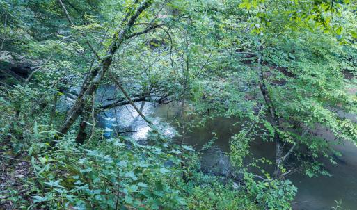 Photo #48 of Off NC Highway 86 North, Providence, NC 13.8 acres