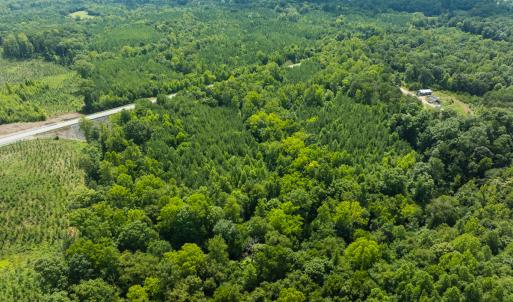 Photo #49 of Off NC Highway 86 North, Providence, NC 13.8 acres