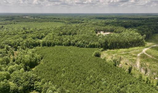 Photo #15 of Off Peachtree Hills Road, Spring Hope, NC 20.0 acres