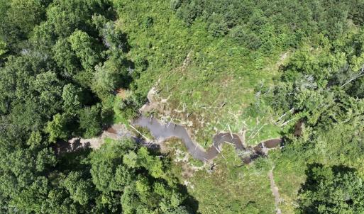 Photo #19 of Off Peachtree Hills Road, Spring Hope, NC 20.0 acres