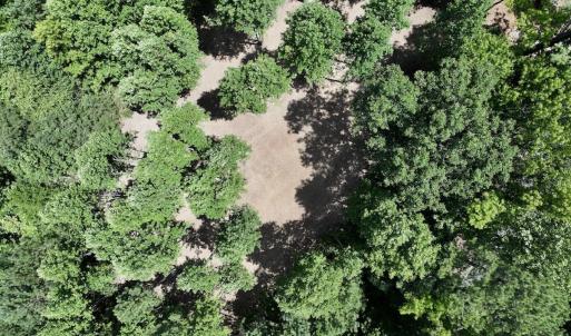 Photo #8 of Off Peachtree Hills Road, Spring Hope, NC 20.0 acres