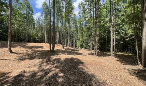 Photo #25 of Off Peachtree Hills Road, Spring Hope, NC 20.0 acres