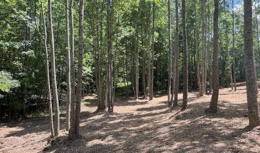Photo #26 of Off Peachtree Hills Road, Spring Hope, NC 20.0 acres