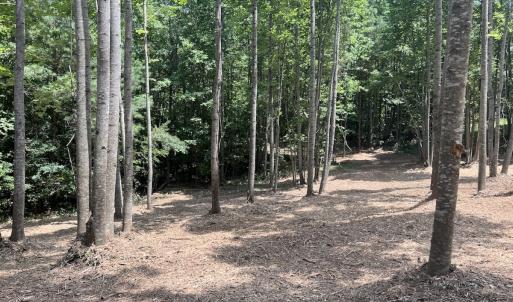 Photo #27 of Off Peachtree Hills Road, Spring Hope, NC 20.0 acres