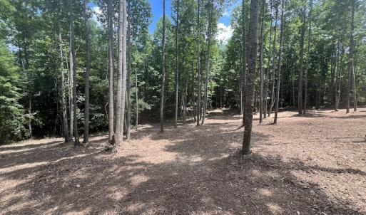 Photo #28 of Off Peachtree Hills Road, Spring Hope, NC 20.0 acres