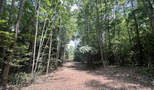 Photo #31 of Off Peachtree Hills Road, Spring Hope, NC 20.0 acres