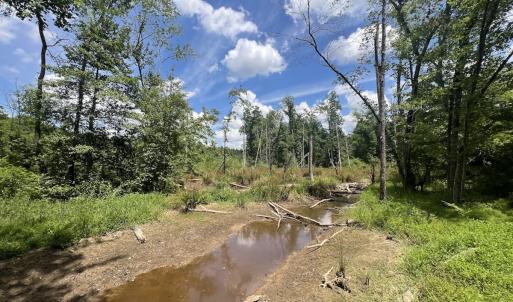 Photo #34 of Off Peachtree Hills Road, Spring Hope, NC 20.0 acres