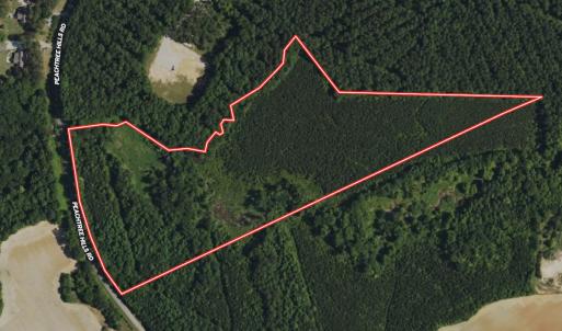 Photo #2 of Off Peachtree Hills Road, Spring Hope, NC 20.0 acres
