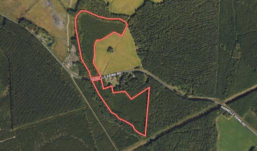 Photo #1 of SOLD property in 947 Harrells Siding Rd, Kelford, NC 34.5 acres