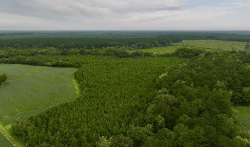 Photo #2 of SOLD property in 947 Harrells Siding Rd, Kelford, NC 34.5 acres