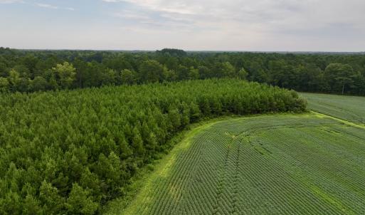 Photo #11 of SOLD property in 947 Harrells Siding Rd, Kelford, NC 34.5 acres