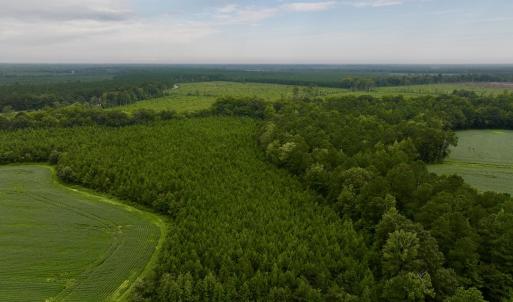 Photo #14 of SOLD property in 947 Harrells Siding Rd, Kelford, NC 34.5 acres