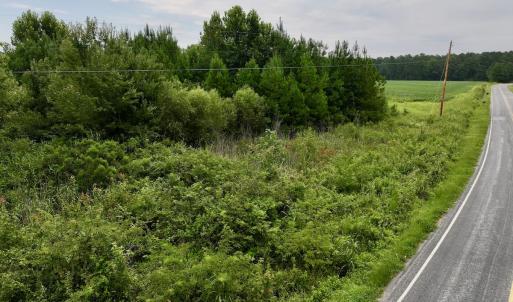 Photo #16 of SOLD property in 947 Harrells Siding Rd, Kelford, NC 34.5 acres