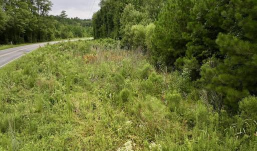 Photo #17 of SOLD property in 947 Harrells Siding Rd, Kelford, NC 34.5 acres