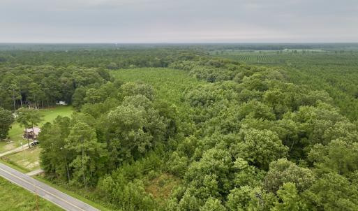 Photo #18 of SOLD property in 947 Harrells Siding Rd, Kelford, NC 34.5 acres