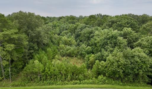 Photo #19 of SOLD property in 947 Harrells Siding Rd, Kelford, NC 34.5 acres