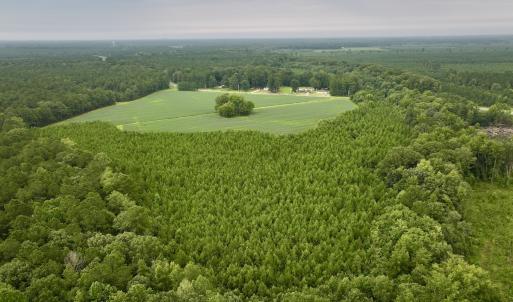 Photo #4 of SOLD property in 947 Harrells Siding Rd, Kelford, NC 34.5 acres