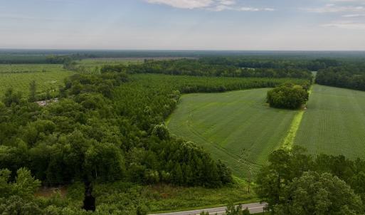 Photo #7 of SOLD property in 947 Harrells Siding Rd, Kelford, NC 34.5 acres