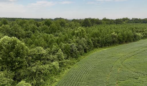 Photo #8 of SOLD property in 947 Harrells Siding Rd, Kelford, NC 34.5 acres
