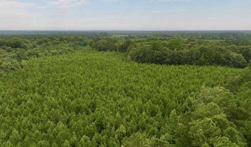 Photo #23 of SOLD property in 947 Harrells Siding Rd, Kelford, NC 34.5 acres