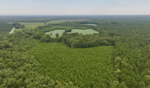 Photo #26 of SOLD property in 947 Harrells Siding Rd, Kelford, NC 34.5 acres