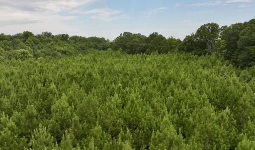 Photo #27 of SOLD property in 947 Harrells Siding Rd, Kelford, NC 34.5 acres