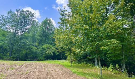 Photo #59 of SOLD property in 2888 Wheats Valley Rd, Bedford, VA 161.4 acres