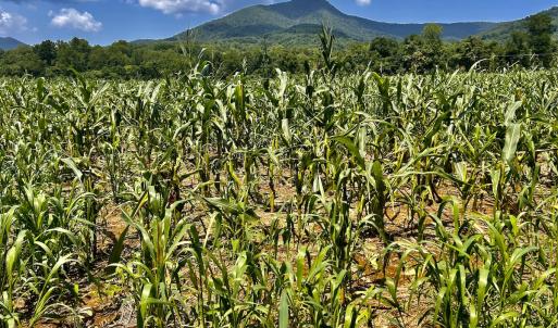 Photo #64 of SOLD property in 2888 Wheats Valley Rd, Bedford, VA 161.4 acres