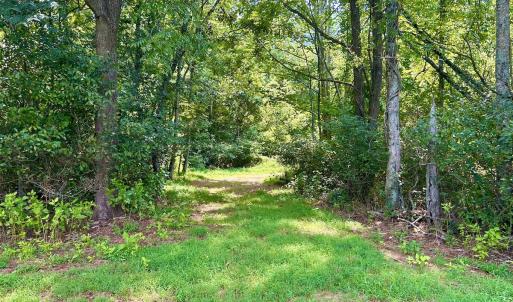 Photo #67 of SOLD property in 2888 Wheats Valley Rd, Bedford, VA 161.4 acres