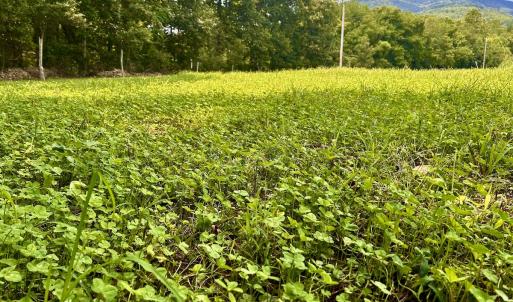 Photo #69 of SOLD property in 2888 Wheats Valley Rd, Bedford, VA 161.4 acres