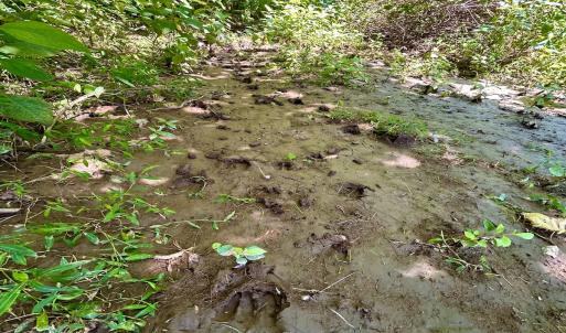 Photo #70 of SOLD property in 2888 Wheats Valley Rd, Bedford, VA 161.4 acres